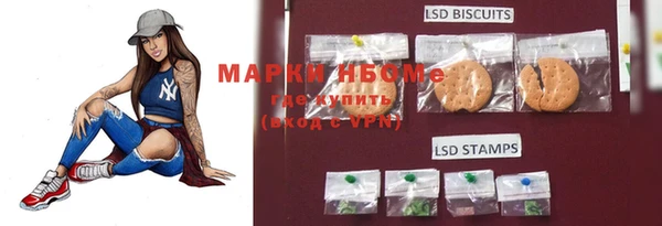 ПСИЛОЦИБИНОВЫЕ ГРИБЫ Балахна